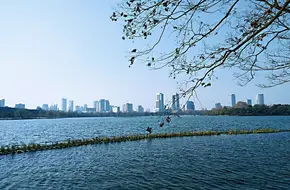 Zhongnan Xuanwu Lake Lingzhou Eco-Park