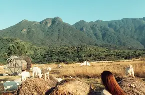 Yunongju Organic Farm