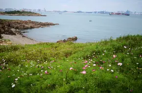 Xuejia Island