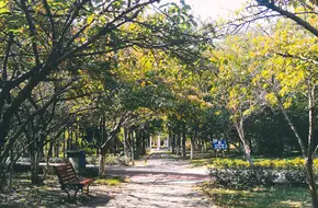 Xianhe Park