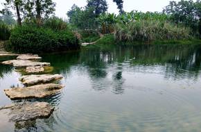 Luoshui Wetland Park