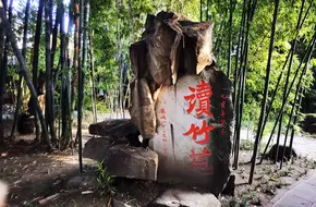 Bamboo Reading Garden