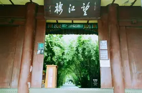 Wangjiang Tower Park