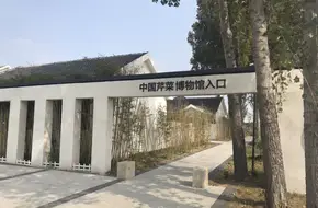 China Celery Museum