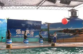 Chimelong Bird Kingdom - Flight Of The Birds