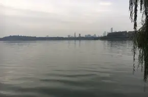 Nanjing Flower Park