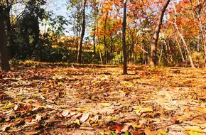 Xianhe Park