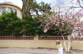 Ningwuguan Road