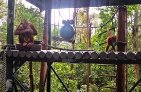 Chimelong Safari Park Guangzhou - Kaka'S Animal Kindergarten
