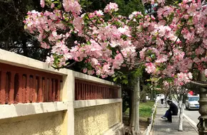 Jiayuguan Road