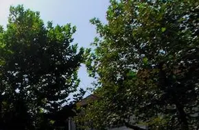 Shaoguan Road No. 54A