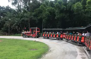 Chimelong Safari Park Self-Driving Area