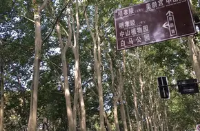 Nanjing Massacre Memorial Hall Relic Site