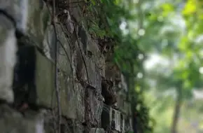 Wu Miao Ancient Sluice