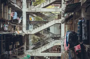 Mandarin Duck Tower