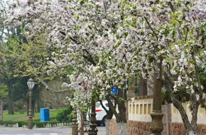Zhengyangguan Road