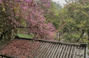 Sifang Fort Site