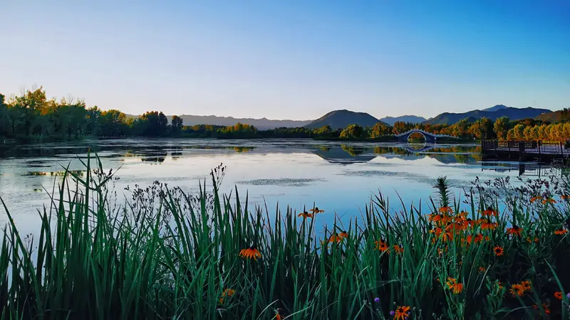 Longwan River Wetland Rule Of Law Park