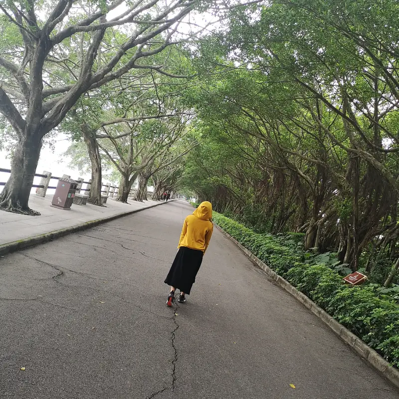 Nansha Wetland Dreamland Garden