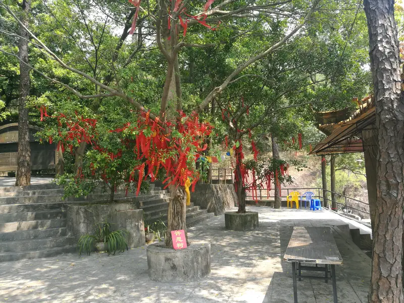 Dragon King Park