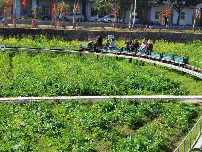 HongShan Village Rapeseed Flower Field
