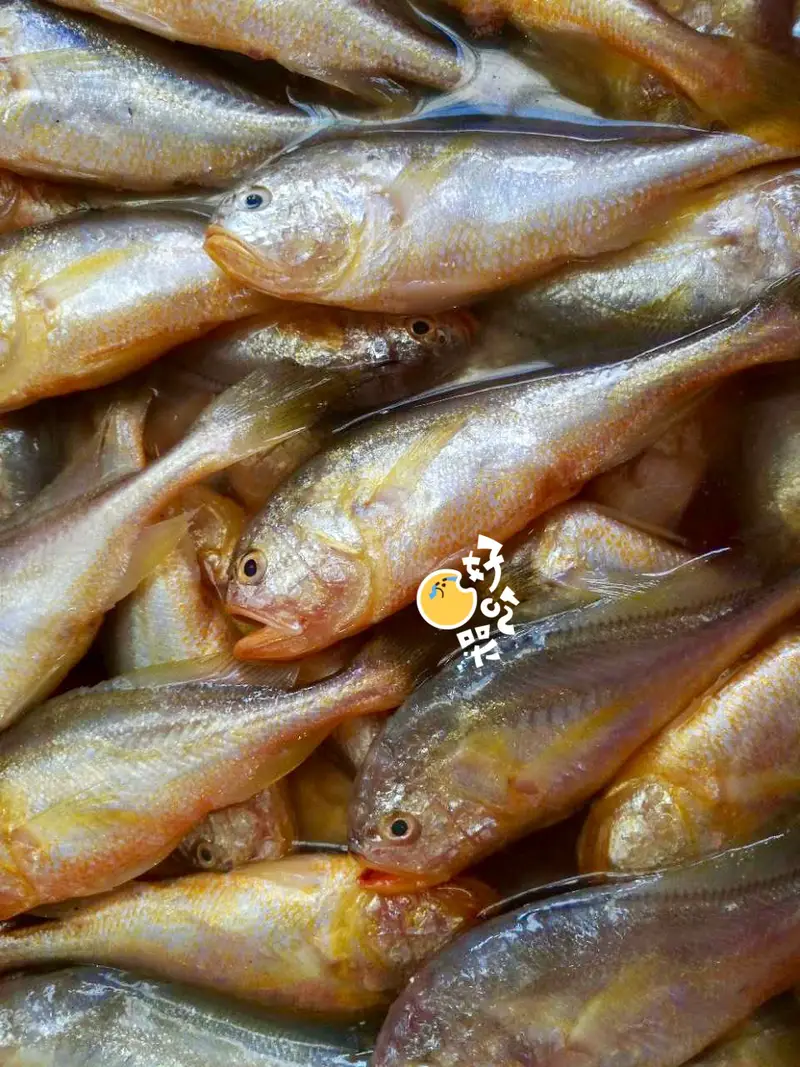 Shisanyong Aquatic Products Center
