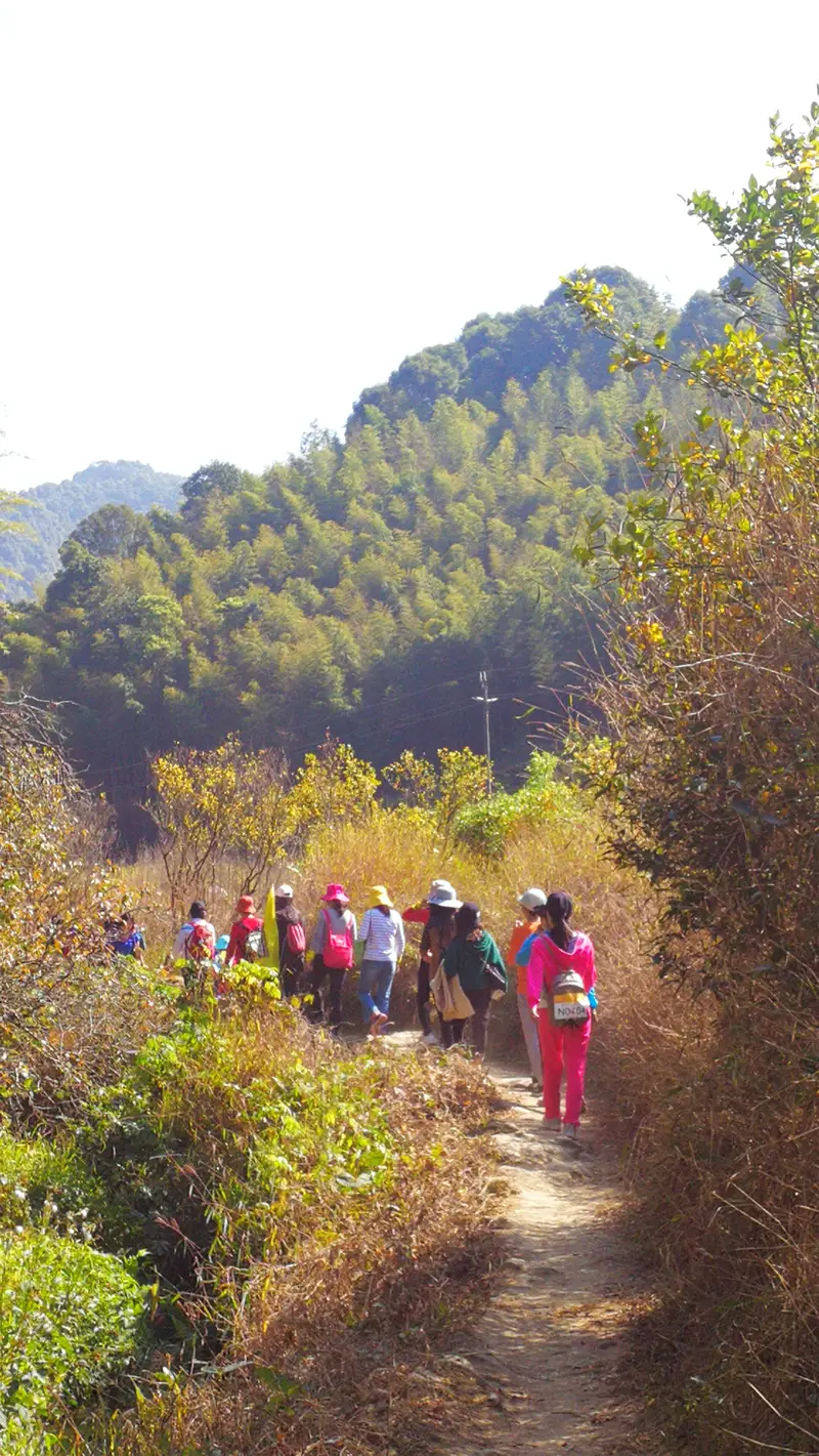Shengxiang Bamboo Sea Bamboo Culture Ecological Protection Garden