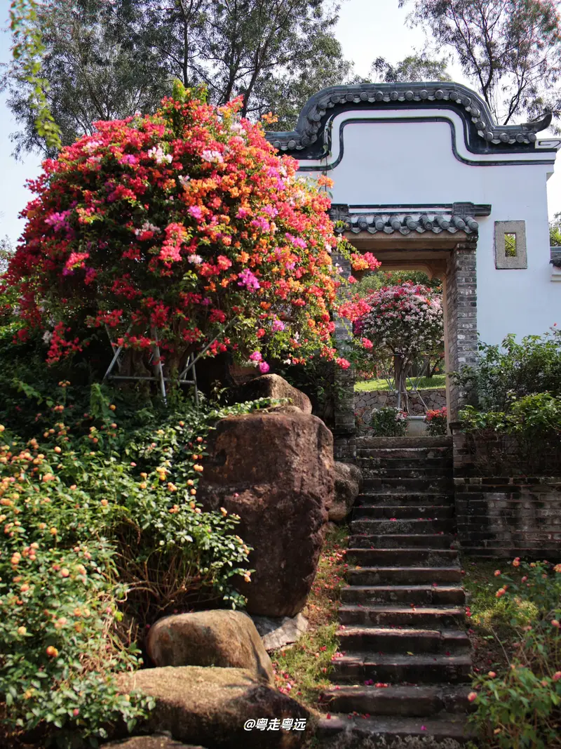 Guangzhou Huadu Maling Flower Viewing Botanical Garden