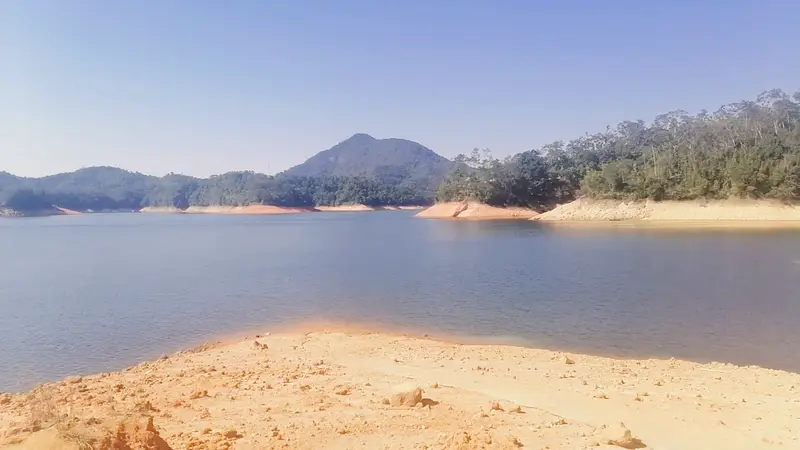 Liuxi River Forest Farm