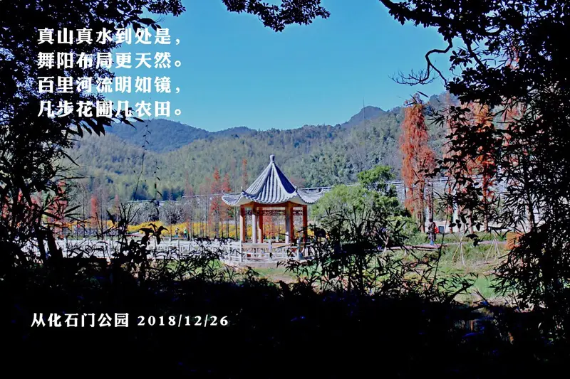 Lotus Plank Road Observation Pavilion