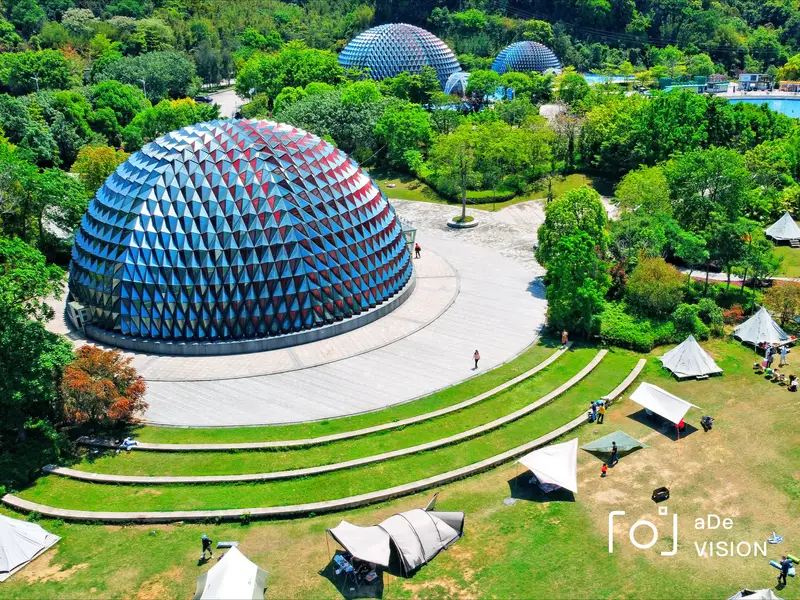 Lychee Ball Paradise