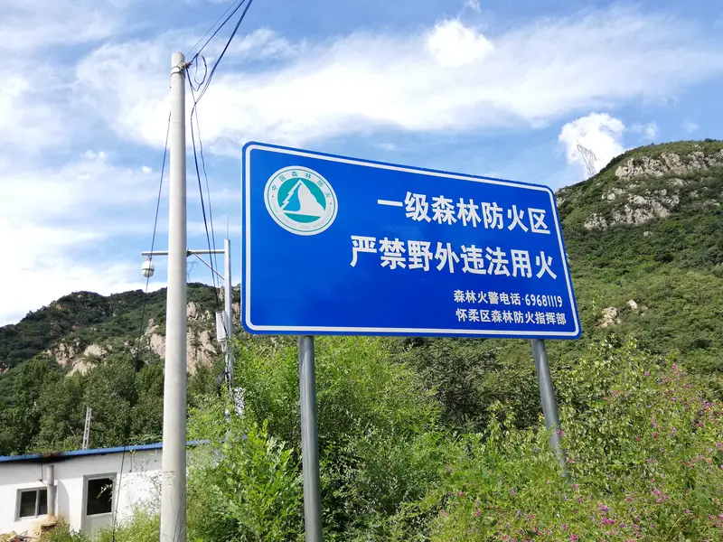 Longevity Mountain