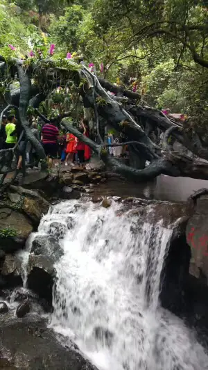 Dragon'S Mouth Spring