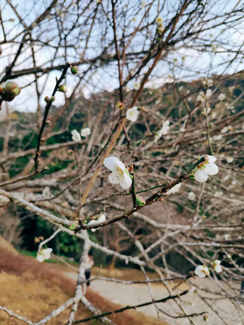 Shimen Huanshan