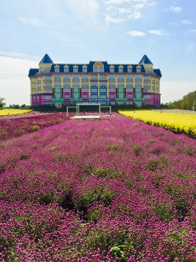 Lavender Eden