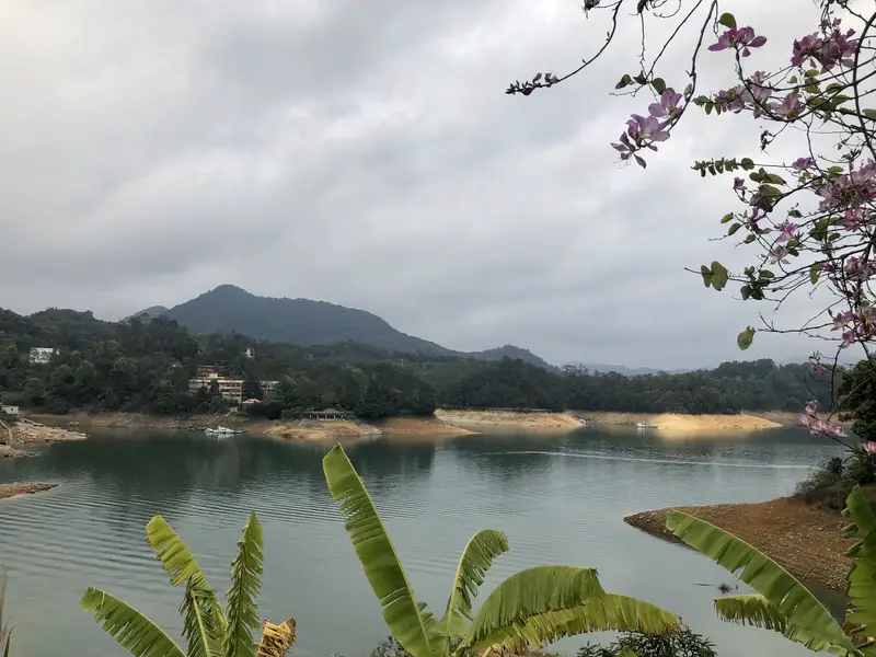 Chongdu Wetland Park