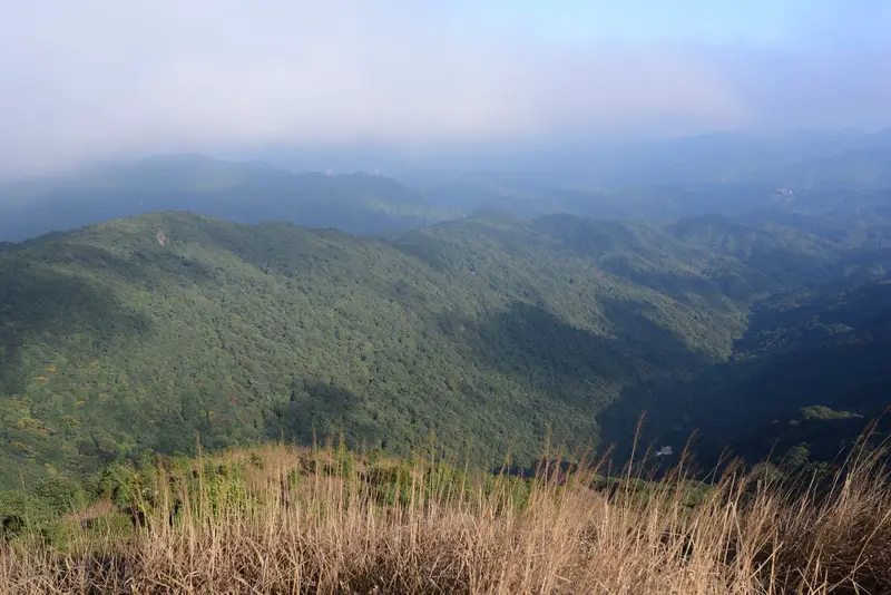 Paradise Peak Scenic Area