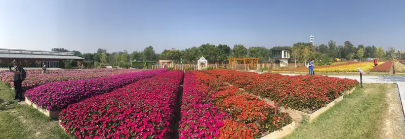 Horticulture Town