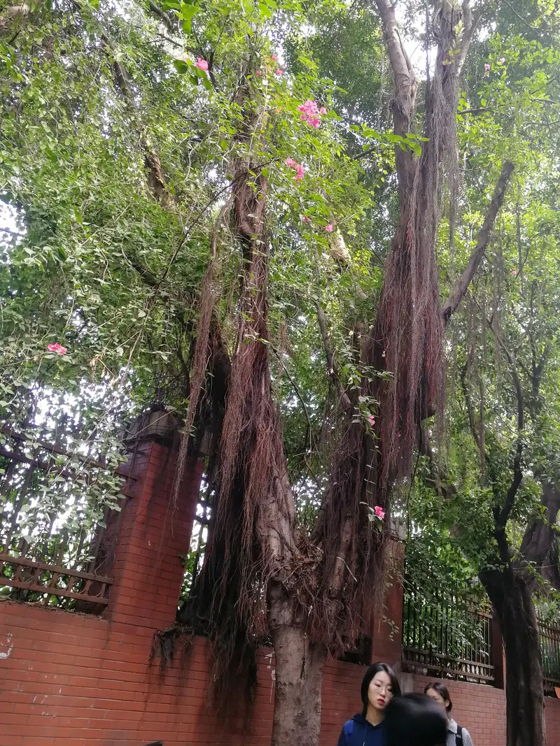 Xinhua Ci'En Chapel, Huadu District, Guangzhou