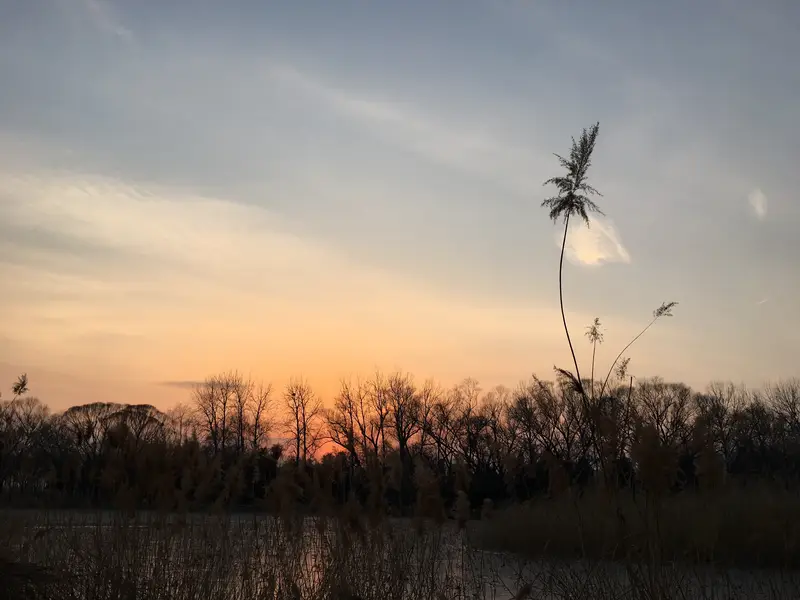 Summer Palace Bioreserve (Tuancheng Lake Area)