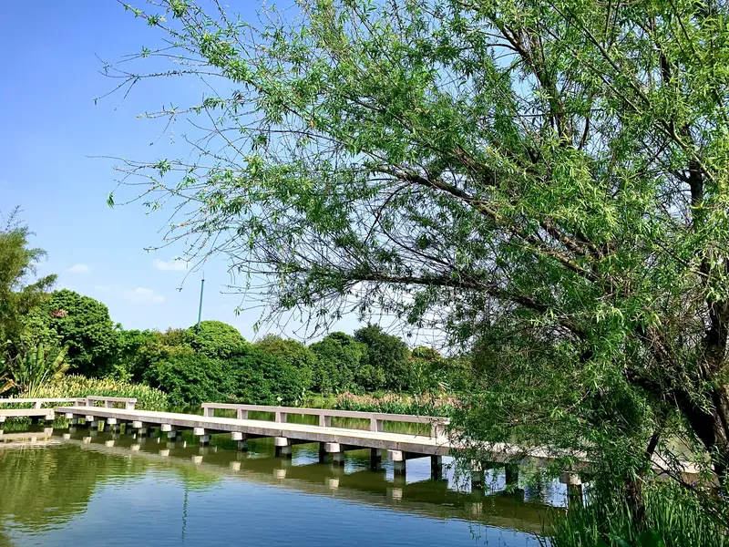 Haizhu National Wetland Park