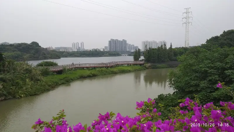Lingnan Garden