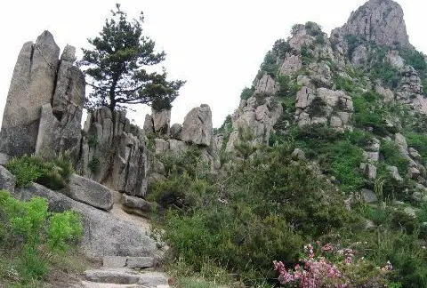 Dongshi