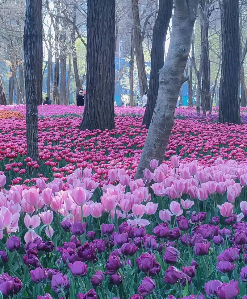 Jiaozhou Botanical Garden