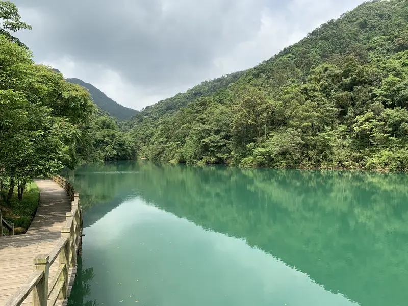 Wangzi Mountain Forest Park