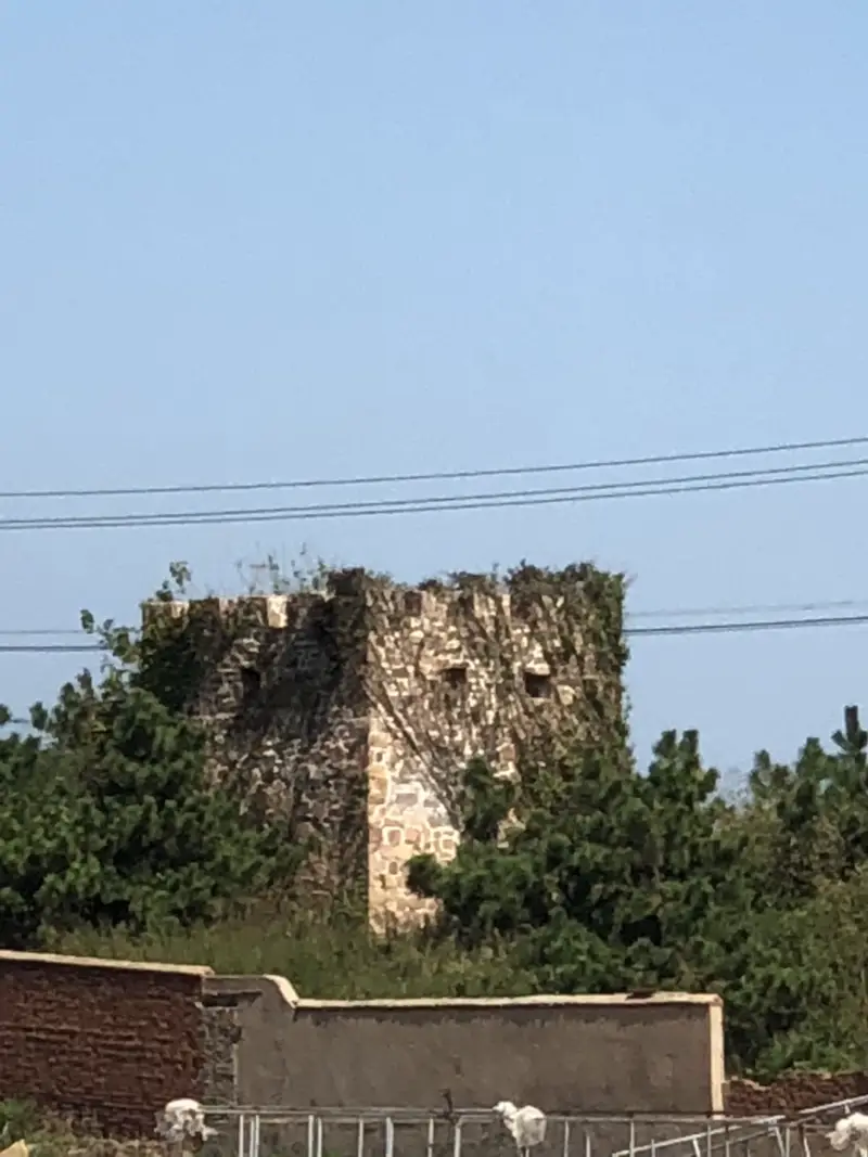 Tingzilan Battery