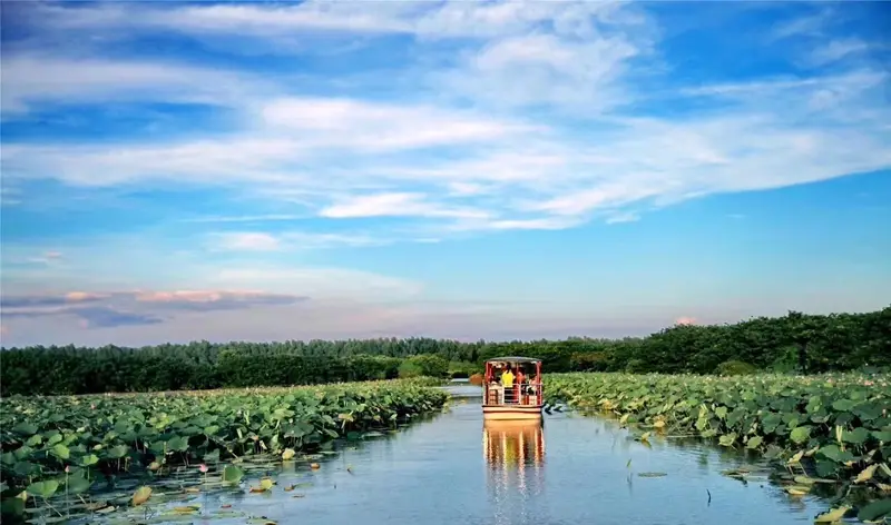 Nansha Wetland Park