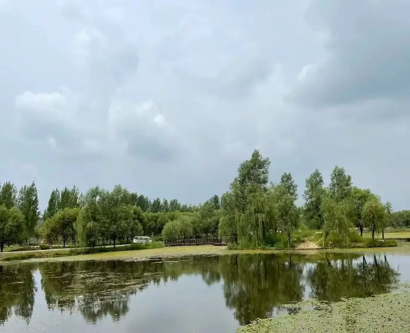 Jinniu Lake