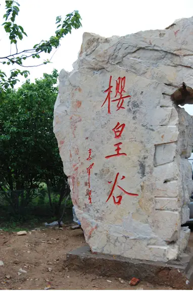 Jiaonan Cherry Emperor Valley Scenic Area