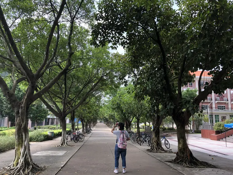 Guangdong Peizheng College